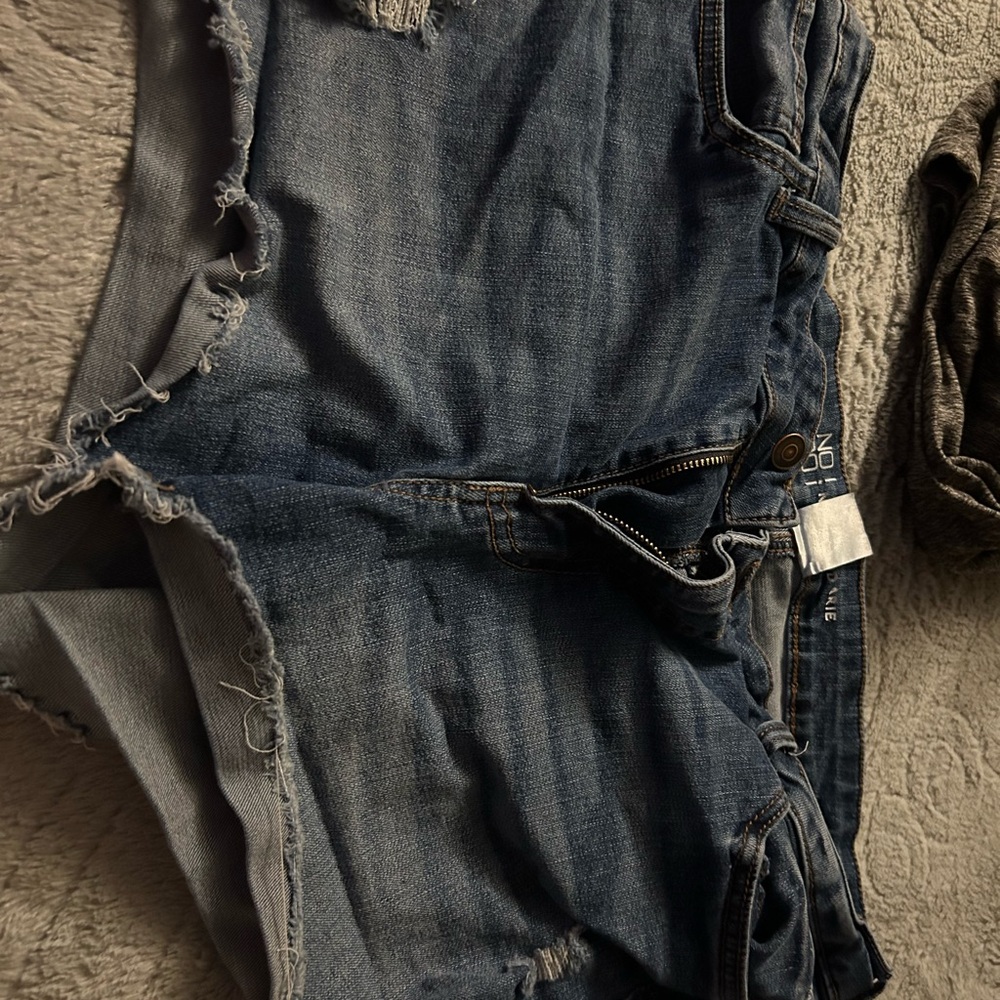 No boundaries shorts